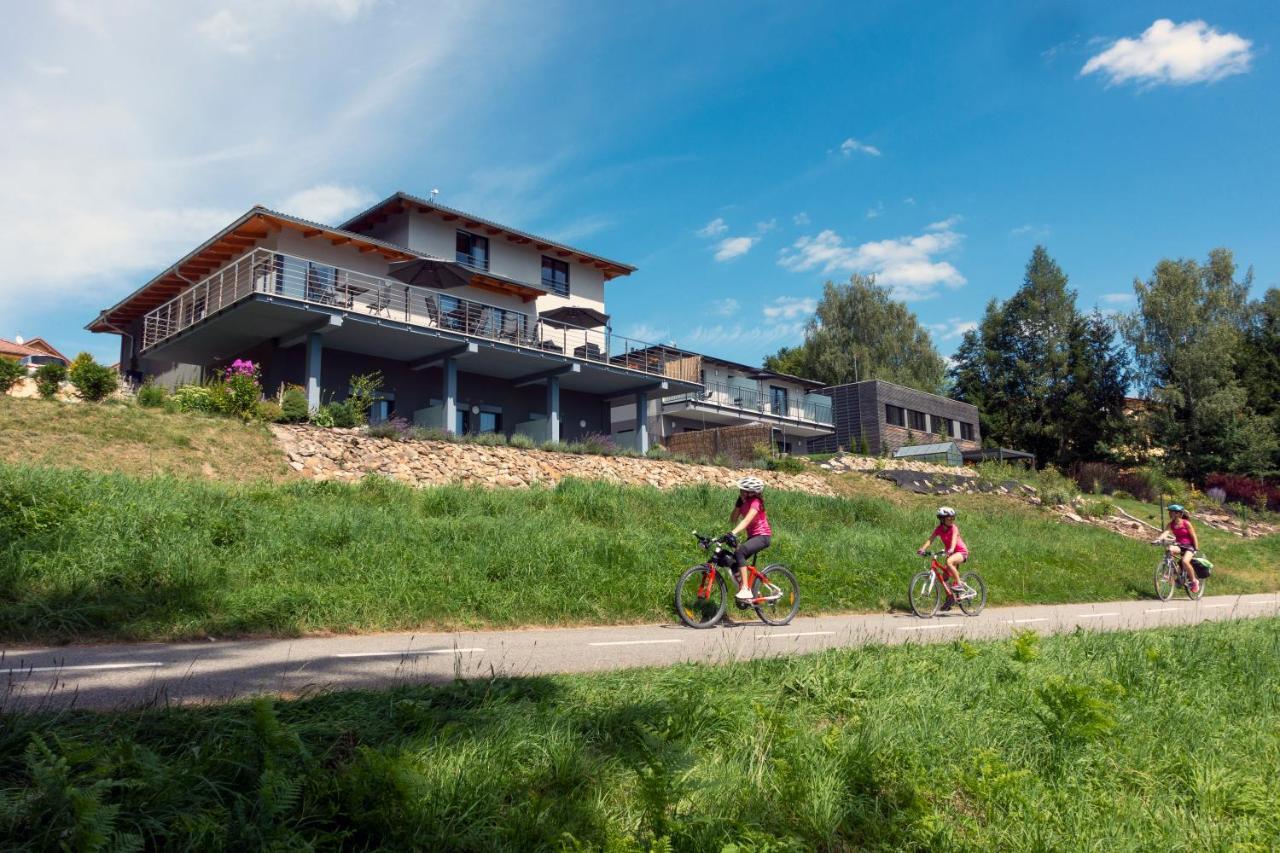 Rezidence Sunny Hill Holiday home Frymburk